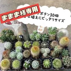 ままま様専用 — image 1