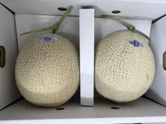 産地直送！訳ありアールスメロン❗️甘くて美味しい❗️2玉入り！箱込4キロ前後 — image 1