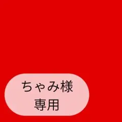 ちゃみ様専用ページです — image 1