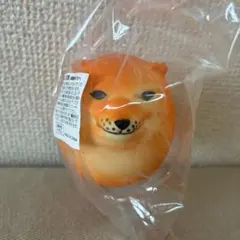 シバコ スクイーズ — image 1