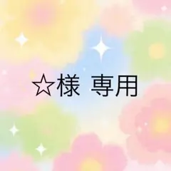 ☆様 専用ページ 1点( ᴖ ̫ᴖ ) — image 1