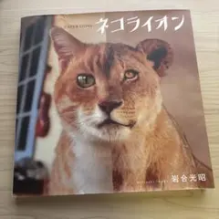 ネコライオン 猫とライオンの写真集 — image 1
