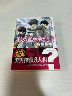 銀の檻を溶かして 高里椎奈 講談社文庫 — image 1