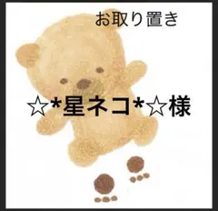 ☆*星ネコ*☆様 — image 1