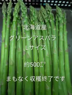 Lサイズ✨️北海道産⭐️グリーンアスパラ⭐️ — image 1