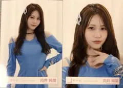 【櫻坂46】向井純葉 — image 1