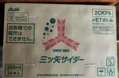 アサヒ飲料 三ツ矢サイダー 300ml 24本入 — image 1