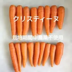 アウトレット★栽培期間中農薬不使用★人参 クリスティーヌ — image 1