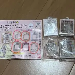 たまひよ だれでもアクリルチャーム2 4個セット — image 1
