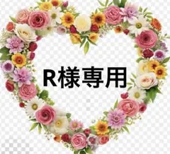 Ｒ様専用 — image 1