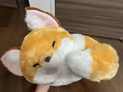ちょコンとキツネ きなこ くるんとおねむ ウルトラBIG ぬいぐるみ タグ付き — image 1