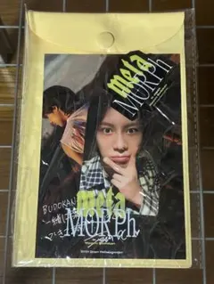 テミン　日本ソロコンサートMETAMORPH in Japanプレミアムグッズ — image 1