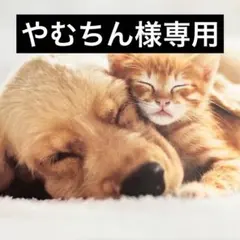 やむちん様専用 — image 1