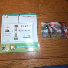 ゴールドシップ２点セット — image 1