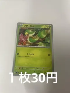ツタージャ C 004/080 — image 1