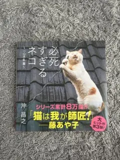 パンダパンダ様専用　必死すぎるネコ ~ 一心不乱篇　沖 昌之 — image 1