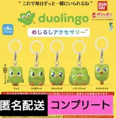 duolingo　めじるしアクセサリー　5種　コンプリート　ガチャ — image 1