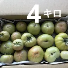 北海道産　訳あり品　桃太郎トマト　4キロ — image 1
