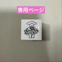 AOIさま専用 — image 1