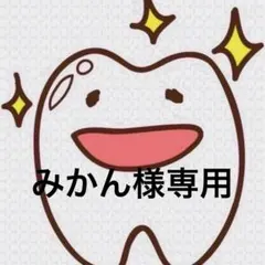 みかん様専用ページ 歯ブラシ — image 1