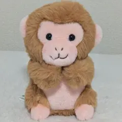 ★チラシ付【新品・未使用】ニホンザル ぬいぐるみ 市川市動植物園 くじ4等④ — image 1