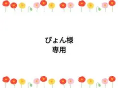 ぴょん様専用 — image 1