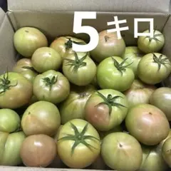 北海道産　訳あり品　桃太郎トマト　5キロ⑥ — image 1