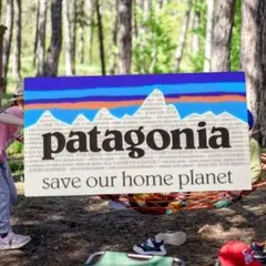 patagonia ステッカー save our home planet — image 1