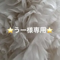 【専用】うー様 — image 1