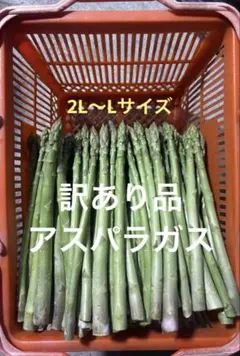 訳あり品 アスパラガス 500ｇ — image 1