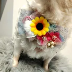 ☆ 犬 ペット トリミングチョーカー トリミングリボン 誕生日 向日葵 花 — image 1