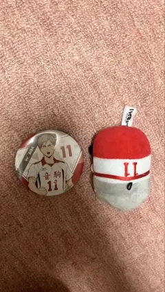 ハイキュー 灰羽リエーフ ぬいぐるみ 缶バッジ — image 1