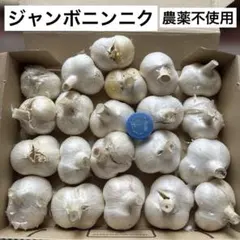 ジャンボニンニク② 農薬不使用　宅急便コンパクト — image 1