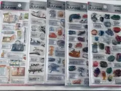 （正規品）大人の図鑑シール 3D ５枚セット　新品未使用 — image 1