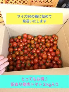 最終日★訳あり筋肉トマト〜お得な２kg入り〜 — image 1