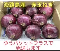 淡路島産赤玉ねぎ9玉 — image 1