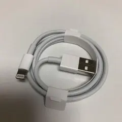 Apple正規品Lightningケーブル USB to Lightning — image 1