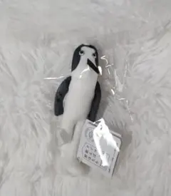 《新品 未開封》クジマ歌えば家ほろろ マスコット クジマ ぬいぐるみ — image 1