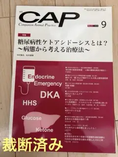 【裁断済み】CAP CAP 糖尿病性ケトアシドーシス 2018 9 — image 1