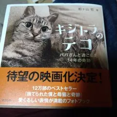キジトラのテコ パパさんと過ごした14年の奇跡　ネコ　写真集 — image 1