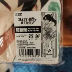 加藤恵 スポーツタオル チアガールVer. — image 1