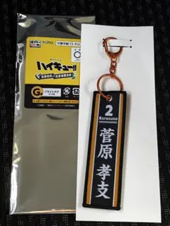 ハイキュー!! タイトーくじ G賞 フライトタグ 菅原孝支 — image 1