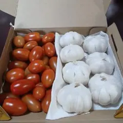 信州産　ニンニク&アイコ　箱込み1・2㌔　農薬不使用 — image 1