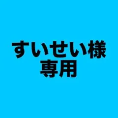 すいせい様 専用 — image 1