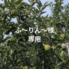 ふ〜りん〜様専用 — image 1