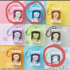 ちいかわ チョコボックス ちいかわ ハチワレ あのこ — image 1