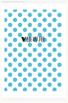 V様専用 — image 1