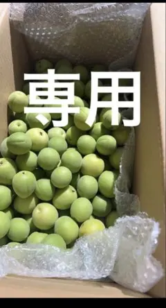 エンドウマメ様専用 — image 1