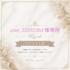 user_5539236d様 専用まとめ出品 — image 1