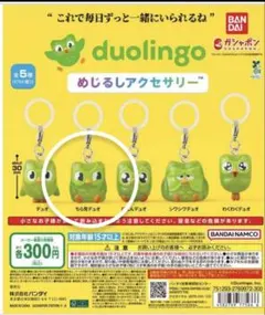 Duolingo めじるしアクセサリー — image 1